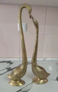 قوعاشق