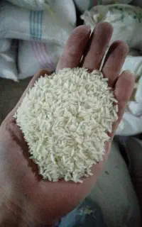 برنج طارم روشن 390 تومان