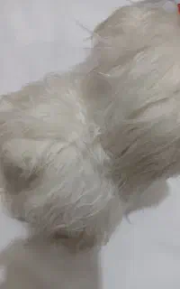 عروسک های زیبا