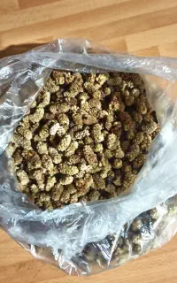 توت درختی خشک شده درجه یک