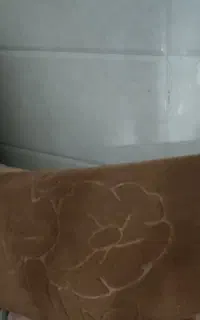 دوعدد موکت ۱۴متری