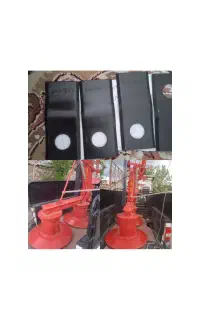 مور بر چینکار وتیغه