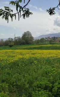 اماده کار در امور کشاورزی با نفرات مجرب