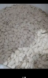 تخم کدو اجیلی