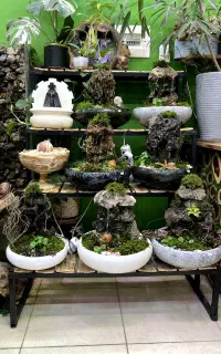 استخدام نیرو در کارگاه گل‌و‌ گیاه