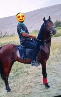دوتا نریان آس