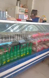 یک یخچال ویترینی و دو تا خانگی