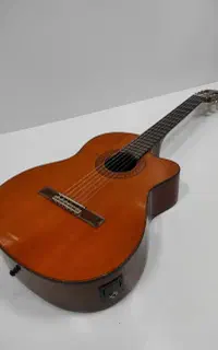 گیتار Aria AK80CE