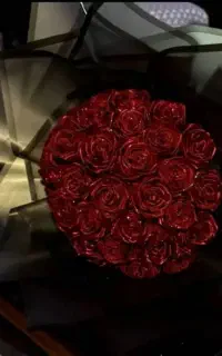 گل روبانی