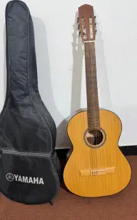 گیتار کلاسیک  دالاهو بدون خط و خش
