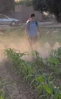سمپاشی با موتور پشتی
