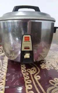 پلوپز توشیبا