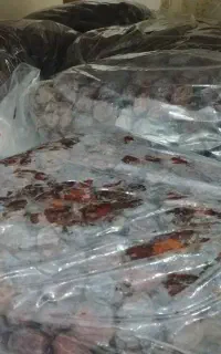 خرما و رطب مرداسنگ درجه یک