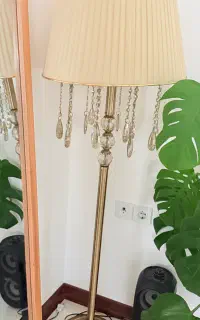 اباژور کنارسالنی ایستاده