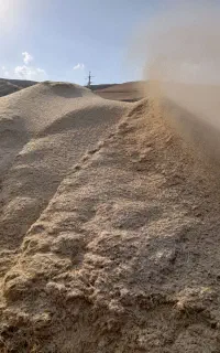 کاه گندم دیم خرمنکوب