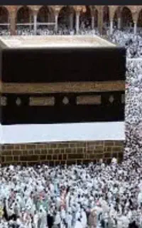 فیش حج واجب
