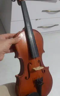 ویولن
