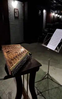 آموزش سنتور از مبتدی تا حرفه ای