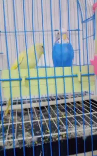۰۹۱۰۴۲۹۶۳۵۳