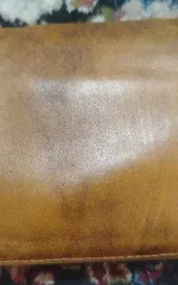 مدارک پیدا شده