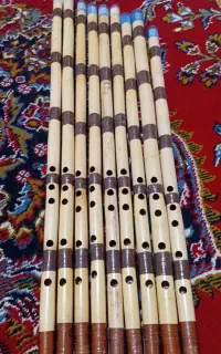 ساز نی اموزشی ارزان قیمت