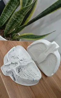 جا سیگاری طرح ریه