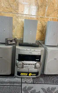 ضبط ژاپنی