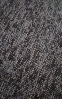 کارگر با تجربه اسباب کشی و جابه جایی