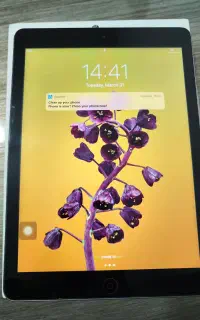 ایپد ایر وای فای