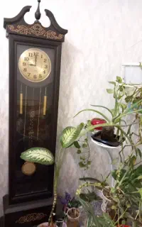 ساعت ایستاده