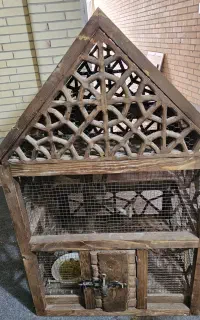 کلبه پرنده چوب گردو