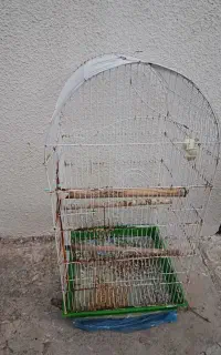 قفس پرنده