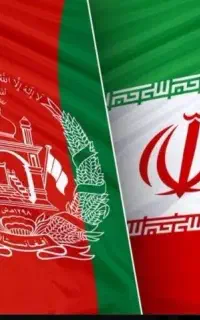 جویای کار(همکاری)