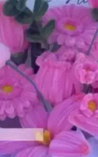 عنوان گل ربانی و مخملی