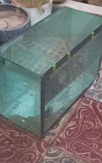 اکواریوم
