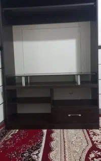 زیر تلوزیونی