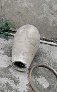 کوزه بزرگ برای مرغ عشق هلندی