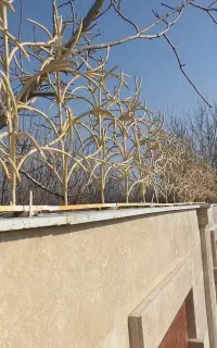 تولید و نصب انواع حفاظ شاخ گوزنی،مستقیم از تولیدی