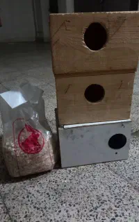 قفس پرنده همراه با لانه