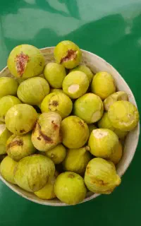 انجیر تازه چین و بادمجان تازه