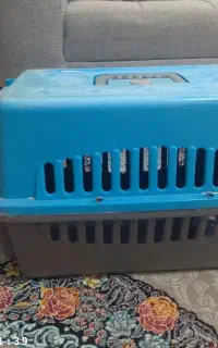 باکس