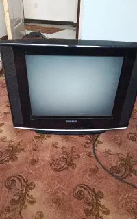 تلویزیون