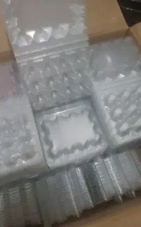 یک کارتن ظرف تخم بلدرچین 12 عددی