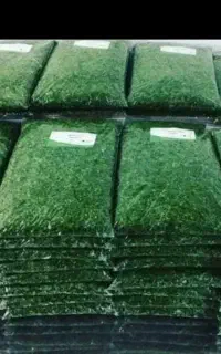 سبزی قرمه