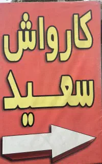 کارواش کار حرفه ای
