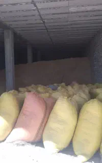 کاه سیاه دانه