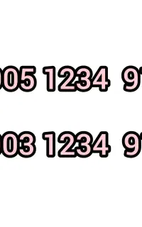 دو خط رند 911 1234