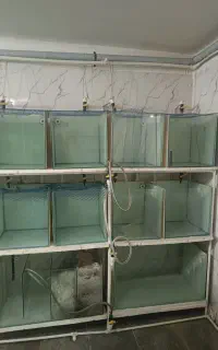 فروش تعدادی اکواریوم سالنی