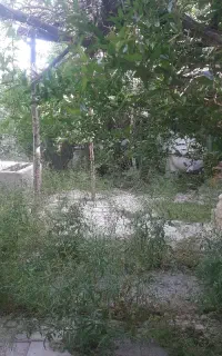 اب قنات اب بالای روستای میم به فروش میرسد
