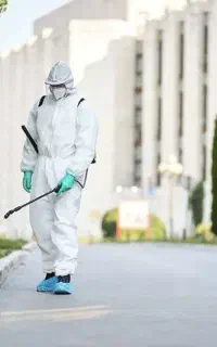 شرکت تخصصی سمپاشی ساس موریانه زدایی سوسک مجوز رسمی